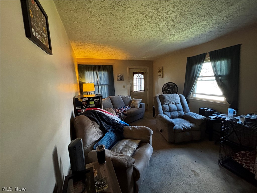 1347 Hammel Street Akron OH 44306