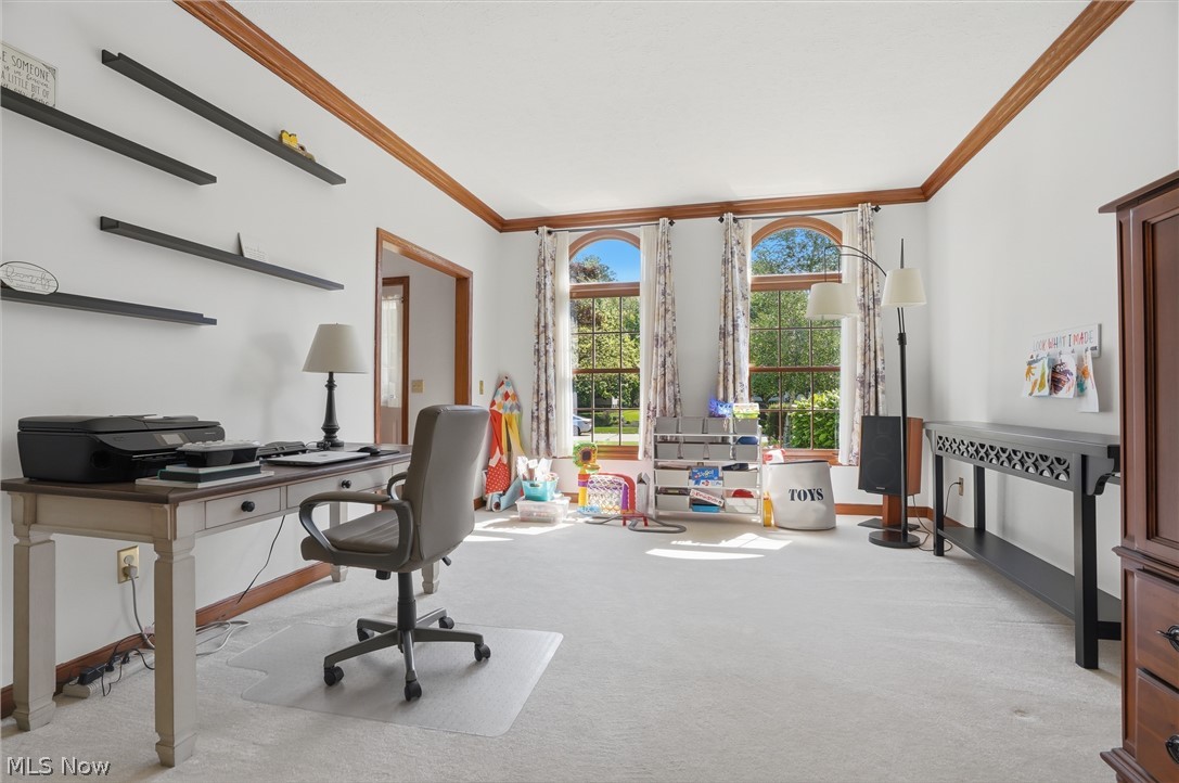 6394 Meadowbrook Drive Mentor OH 44060