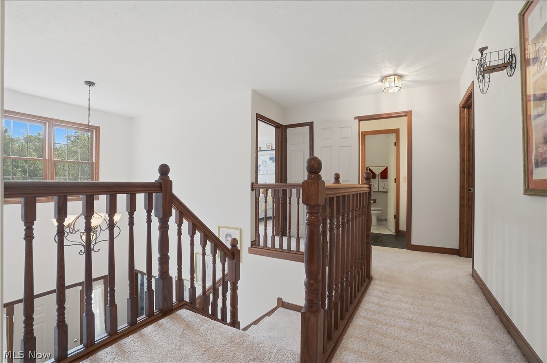 6394 Meadowbrook Drive Mentor OH 44060