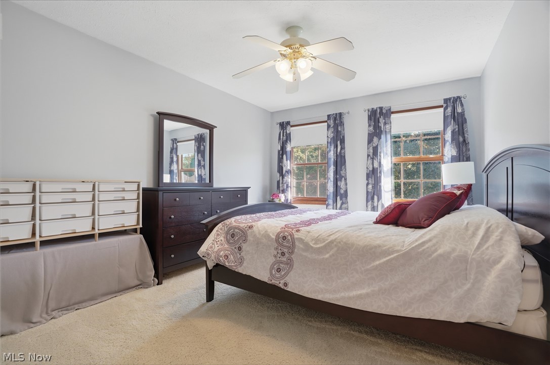6394 Meadowbrook Drive Mentor OH 44060