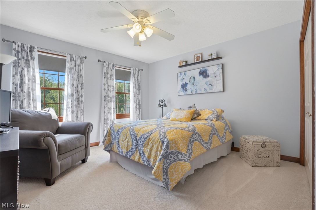 6394 Meadowbrook Drive Mentor OH 44060