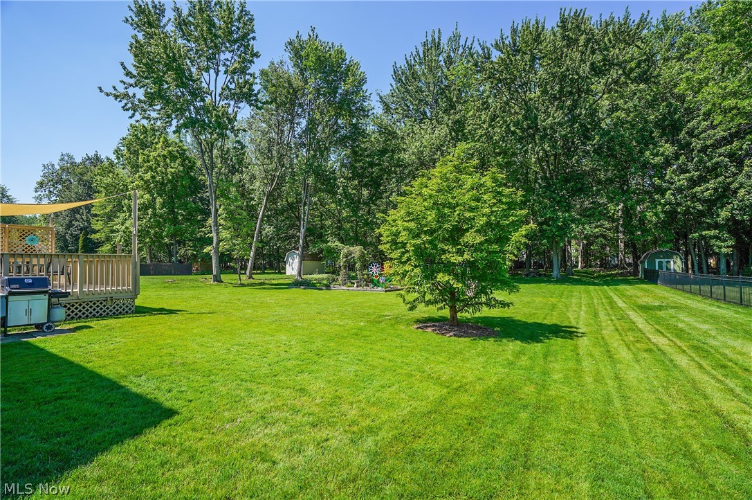 6394 Meadowbrook Drive Mentor OH 44060