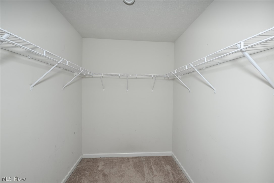 3220 Sunny Brook Drive Akron OH 44312