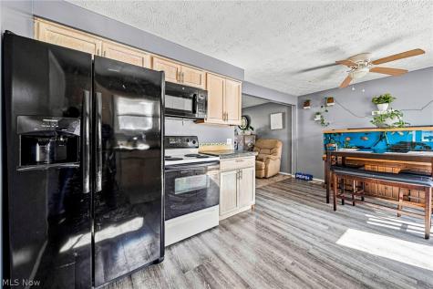 5548 Green Oak Avenue Mentor OH 44060