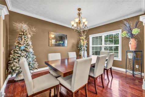 8006 Dovegate Circle Mentor OH 44060