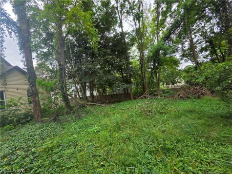 384 Turner Street Akron OH 44304