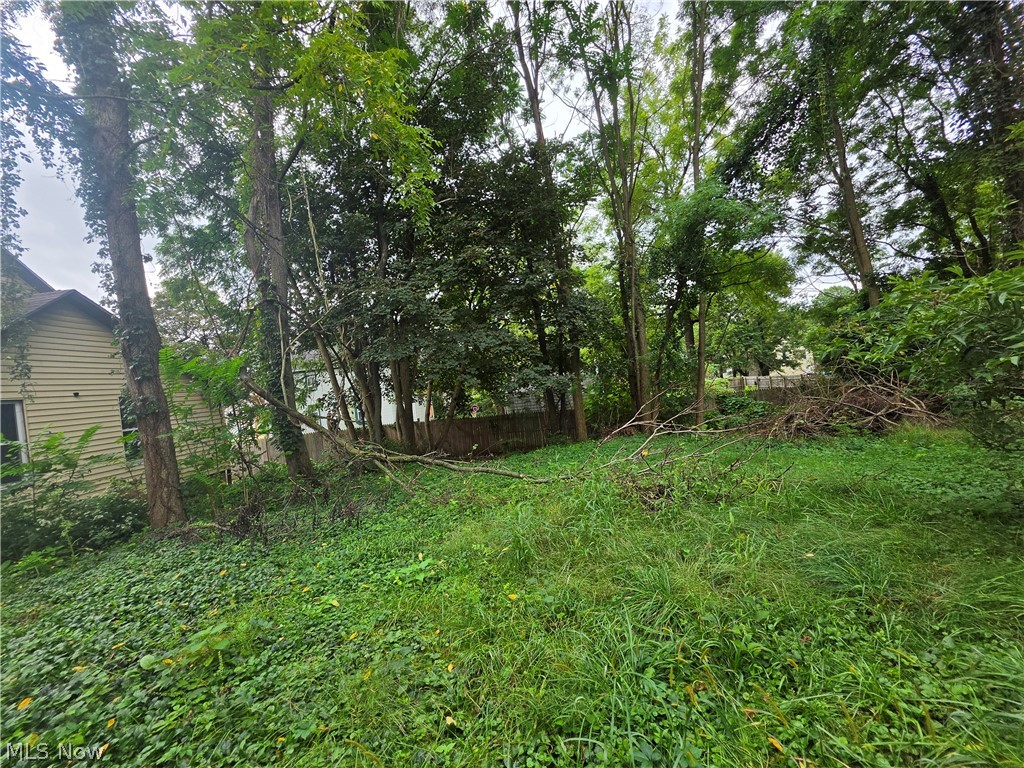 384 Turner Street Akron OH 44304