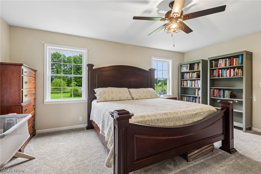 11110 Lair Road NE Alliance OH 44601