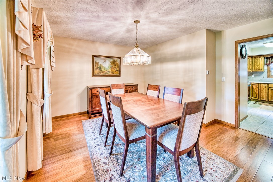 7215 Mildon Drive Leroy OH 44077