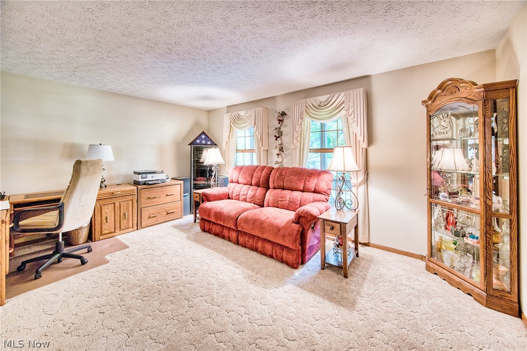 7215 Mildon Drive Leroy OH 44077