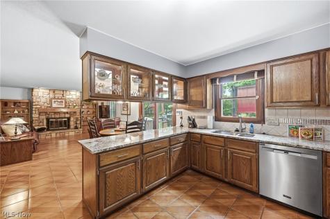 9585 Brayes Manor Drive Mentor OH 44060