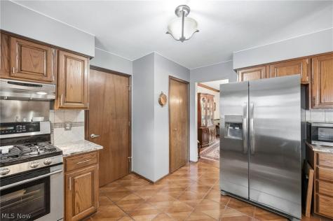 9585 Brayes Manor Drive Mentor OH 44060