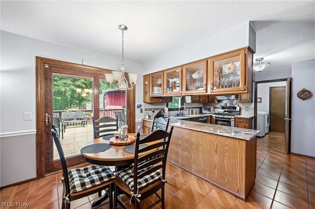 9585 Brayes Manor Drive Mentor OH 44060