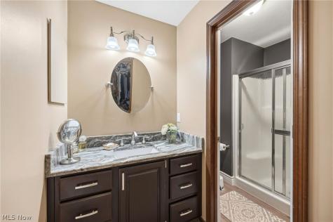 9585 Brayes Manor Drive Mentor OH 44060