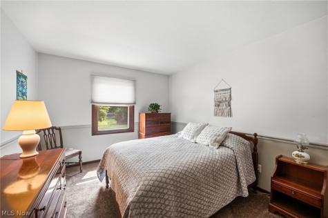 9585 Brayes Manor Drive Mentor OH 44060