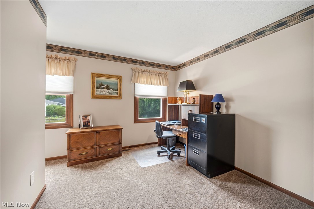 9585 Brayes Manor Drive Mentor OH 44060