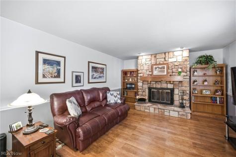 9585 Brayes Manor Drive Mentor OH 44060