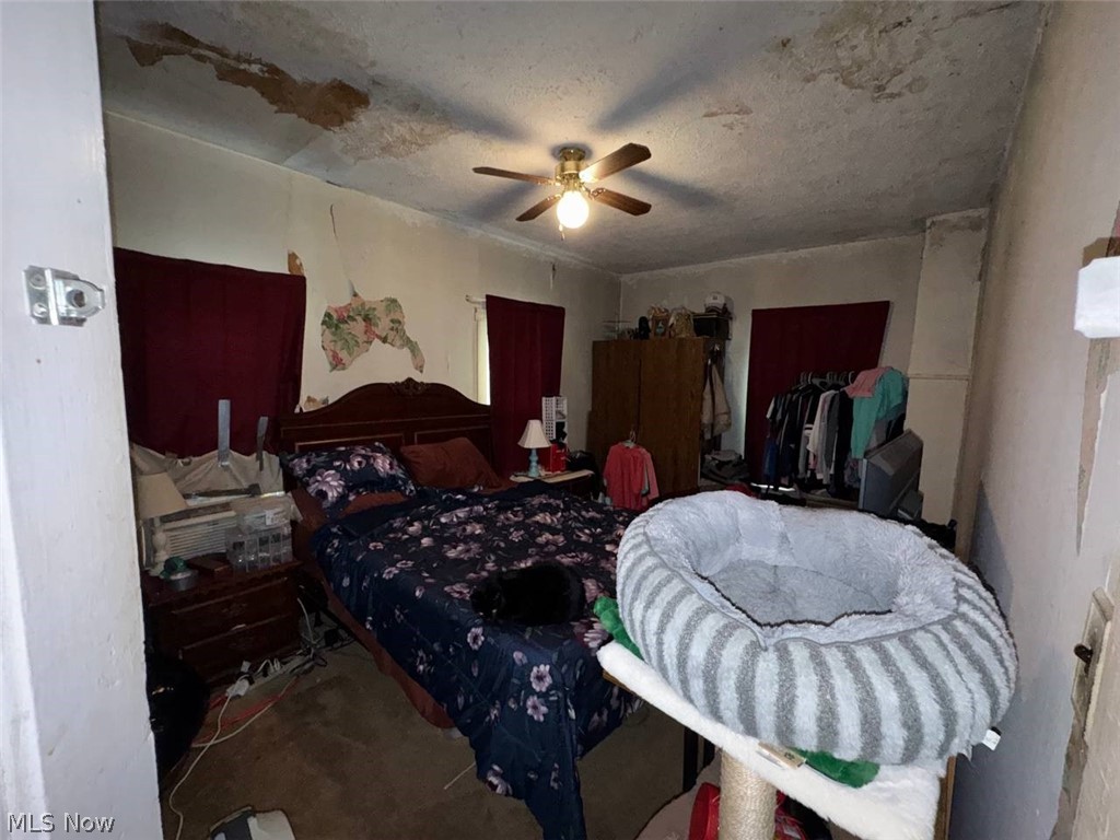 14604 Shreve Road Big Prairie OH 44611