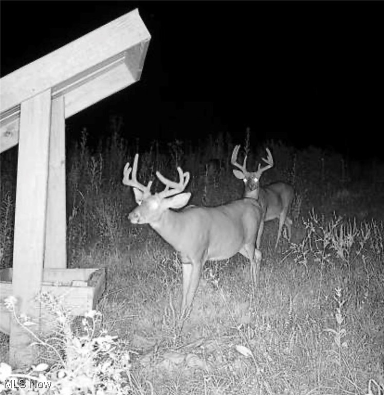 60883 Us-36 Newcomerstown OH 43832