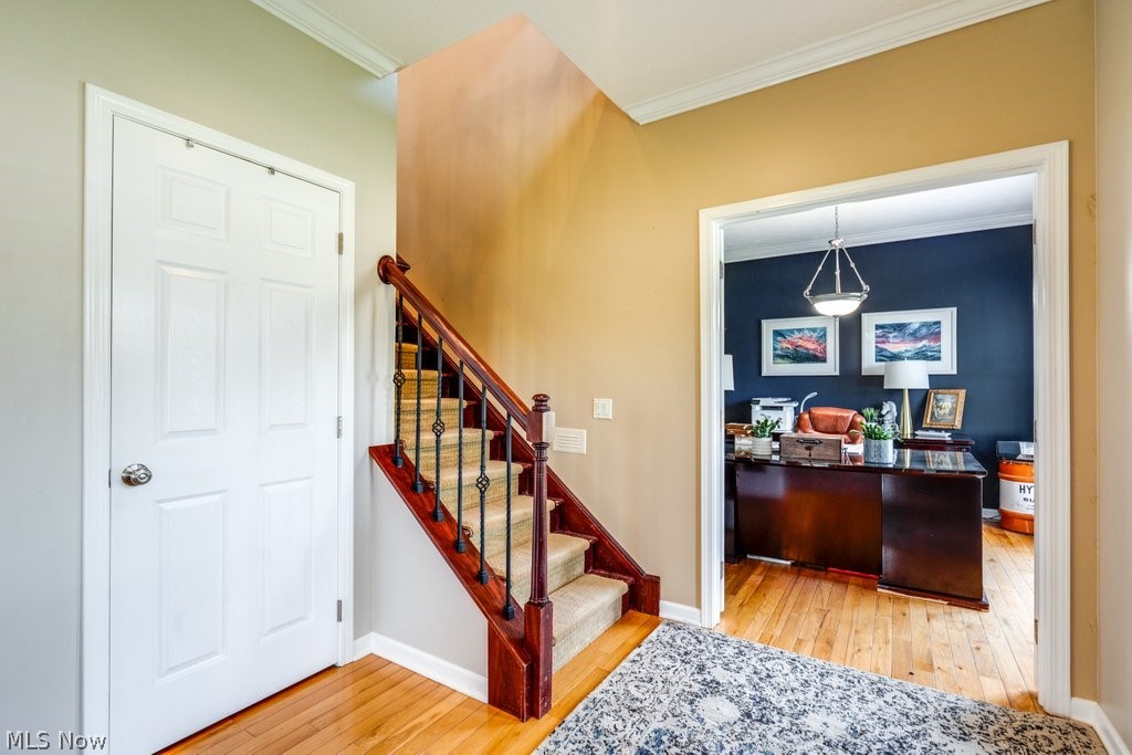 6325 Brecksville Road Independence OH 44131