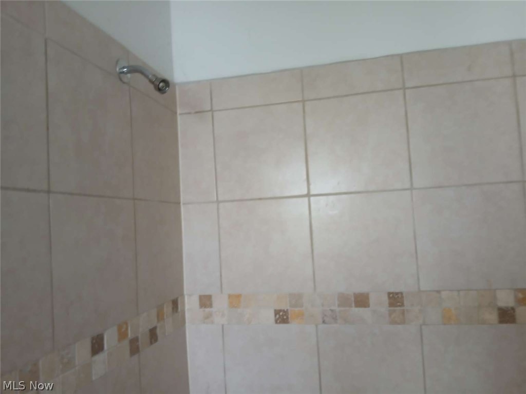 247 Whitney Street Conneaut OH 44030
