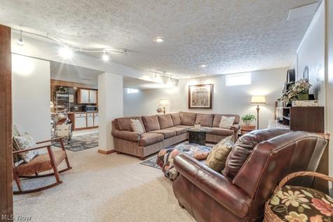 1110 Woodglen Circle Medina OH 44256