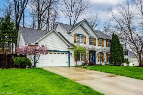 1110 Woodglen Circle Medina OH 44256