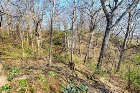 924 E Schaaf Road Brooklyn Heights OH 44131