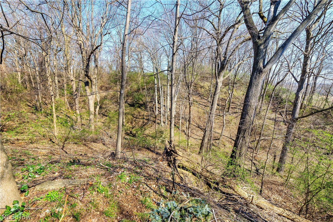 924 E Schaaf Road Brooklyn Heights OH 44131