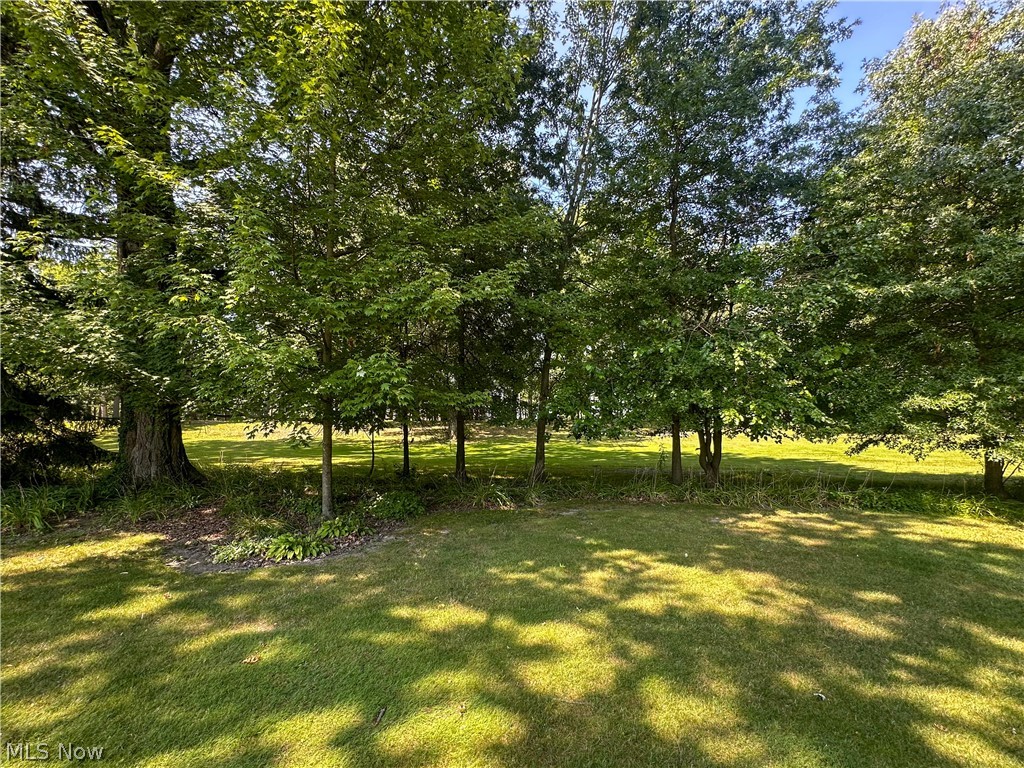 458 Hogarth Avenue Niles OH 44446