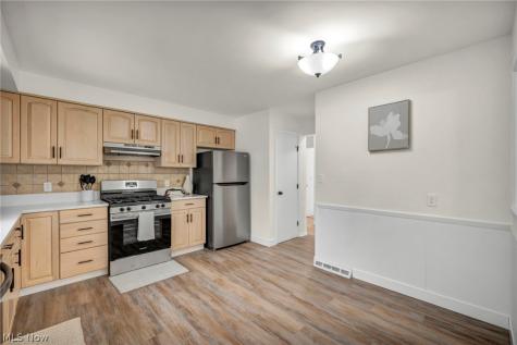 1299 Jackie Lane Mayfield Heights OH 44124