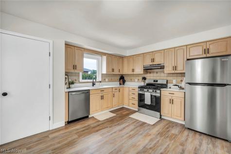 1299 Jackie Lane Mayfield Heights OH 44124