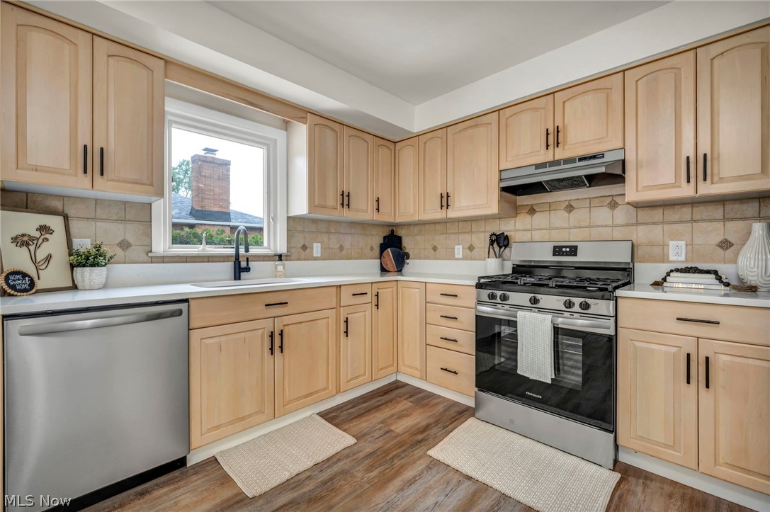 1299 Jackie Lane Mayfield Heights OH 44124