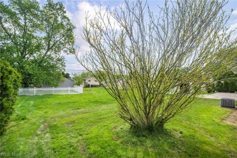 1299 Jackie Lane Mayfield Heights OH 44124