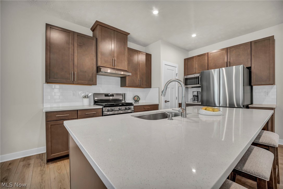 3159 Azalea Ridge Drive Perry OH 44081