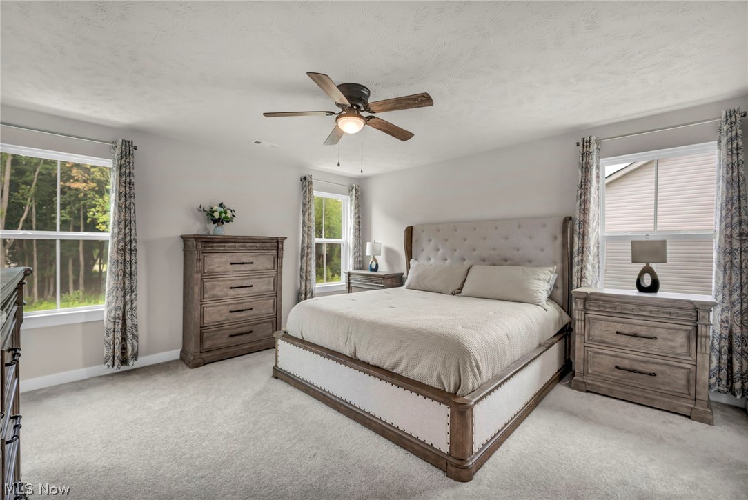 3159 Azalea Ridge Drive Perry OH 44081