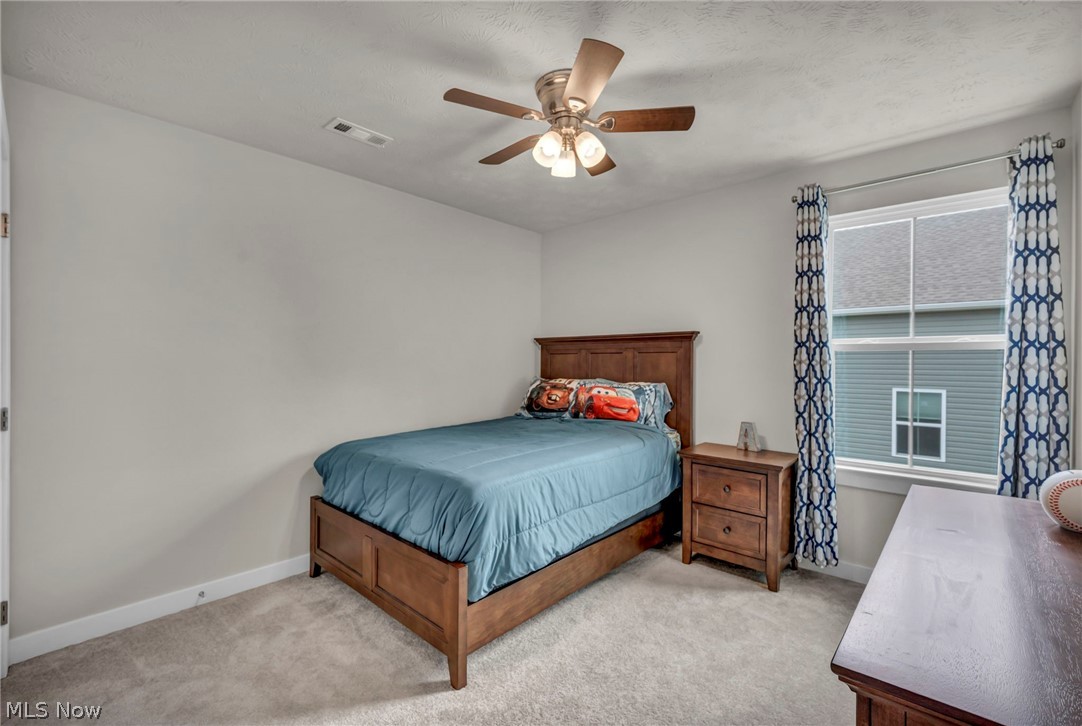 3159 Azalea Ridge Drive Perry OH 44081