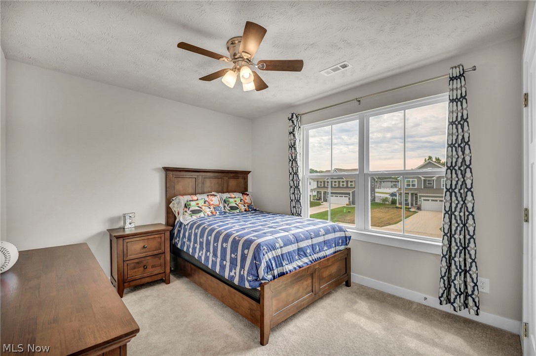 3159 Azalea Ridge Drive Perry OH 44081