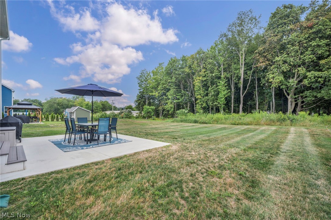 3159 Azalea Ridge Drive Perry OH 44081