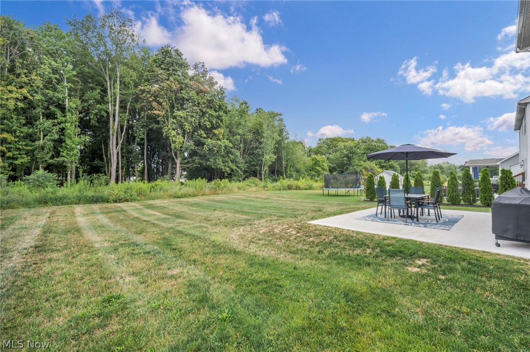 3159 Azalea Ridge Drive Perry OH 44081