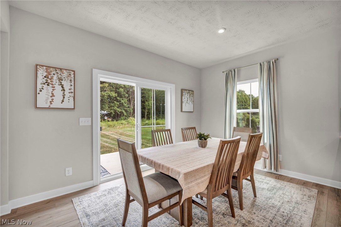 3159 Azalea Ridge Drive Perry OH 44081