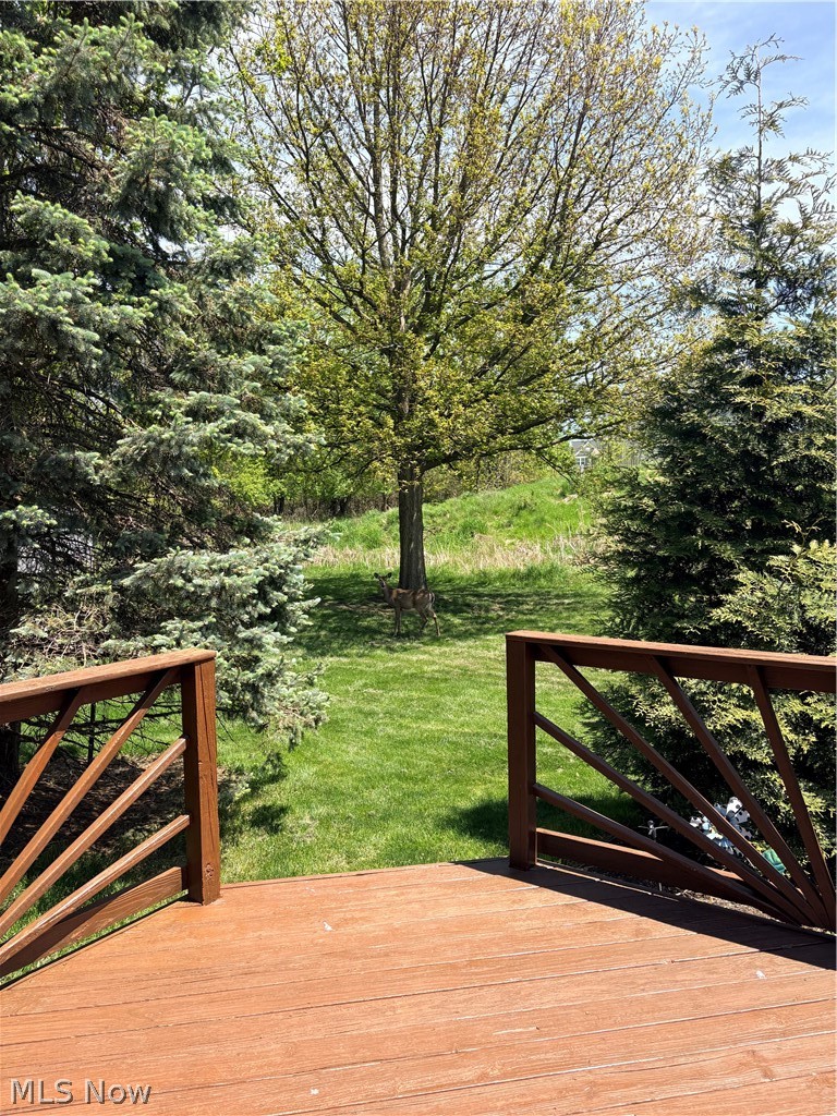 1154 Waterbury Drive Medina OH 44256