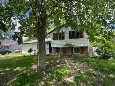 91 Birch Park Drive New London OH 44851