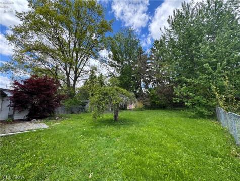 91 Birch Park Drive New London OH 44851