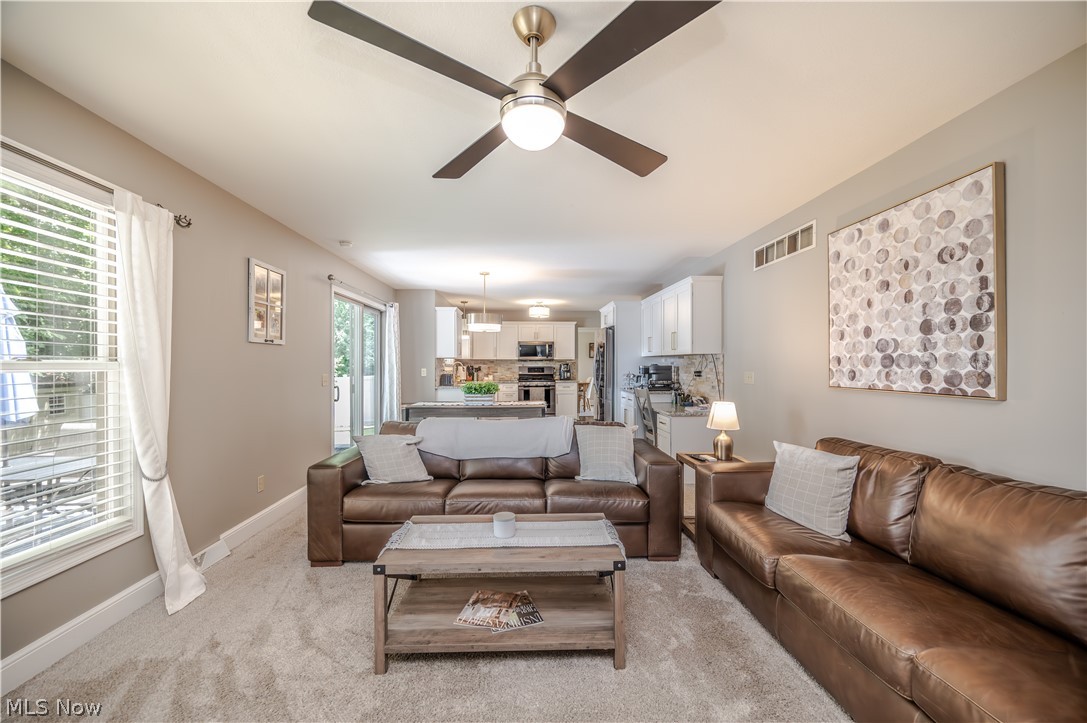 55 Willow Bend Drive Canfield OH 44406