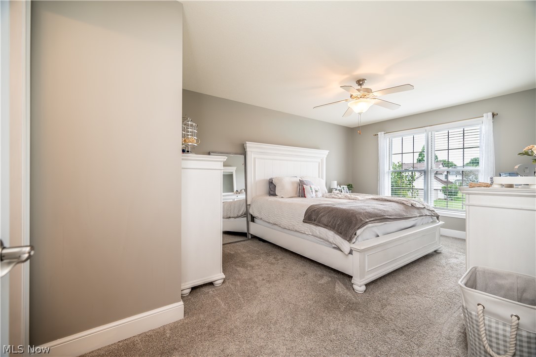 55 Willow Bend Drive Canfield OH 44406