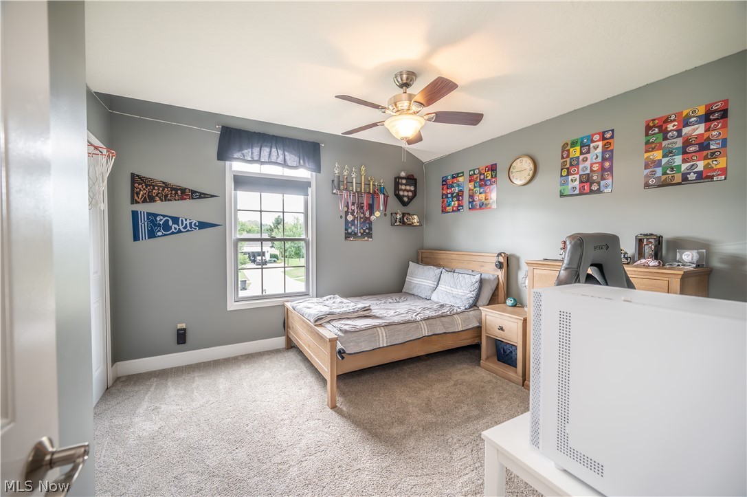 55 Willow Bend Drive Canfield OH 44406