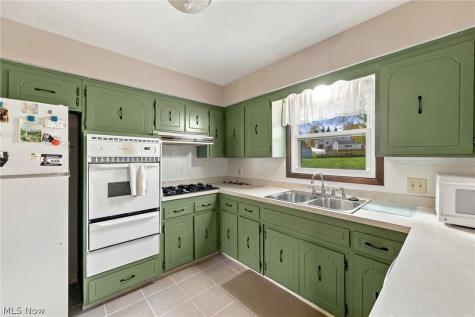 30030 Rickey Lane Wickliffe OH 44092