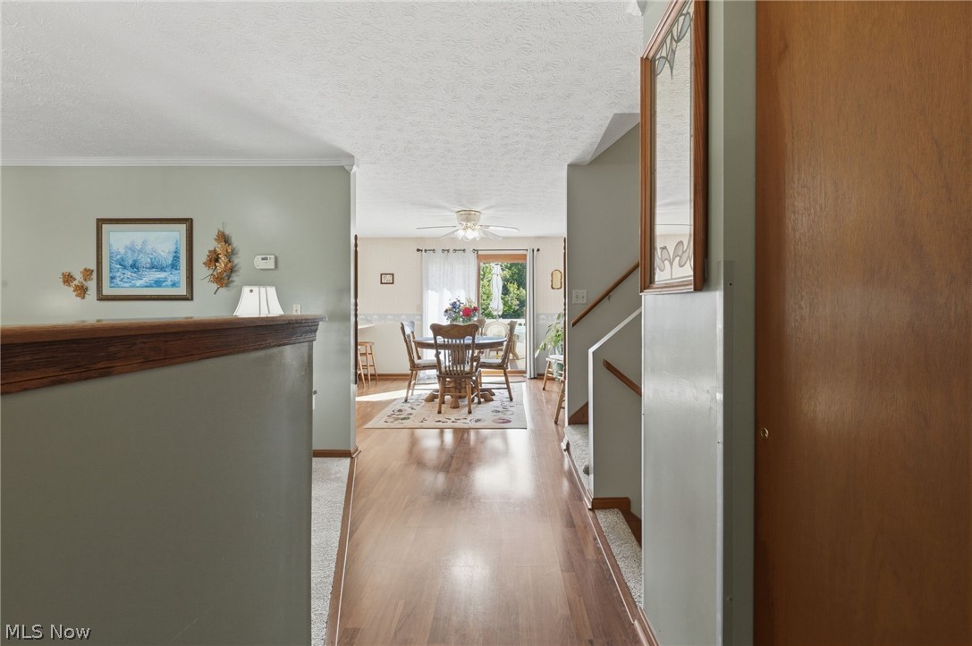 817 Township Road 851 Ashland OH 44805