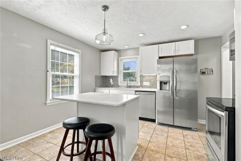 113 Adams Avenue Cuyahoga Falls OH 44221